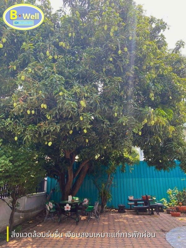 รับดูแลผู้สูงวัย สิ่งแวดล้อมร่มรื่น เงียบสงบ